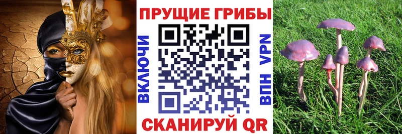 Псилоцибиновые грибы мухоморы  Купить закладки  Дудинка 